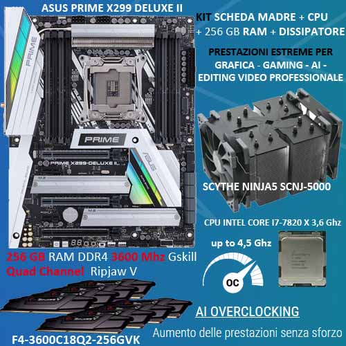 Kit SCHEDA MADRE + 256 GB RAM + CPU + NINJA5